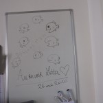 drawings done by students on a whiteboard