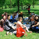 international students having a picnic